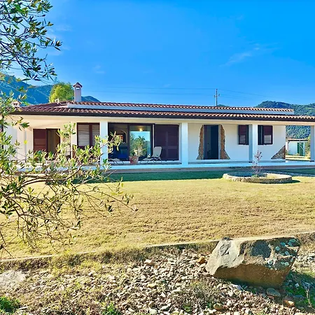 Is Carcuris Jennas Villa *
